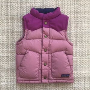 Patagonia Puffer Vest (size 3T)